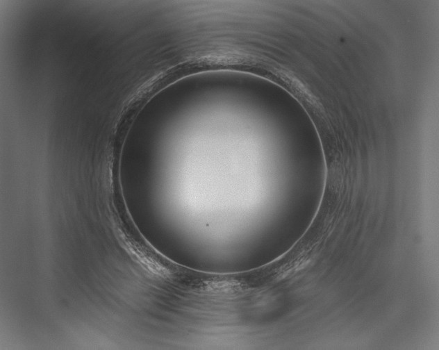 X0000076370446200610061102