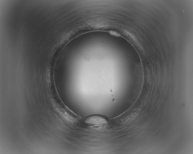 X0000076370447200610061102