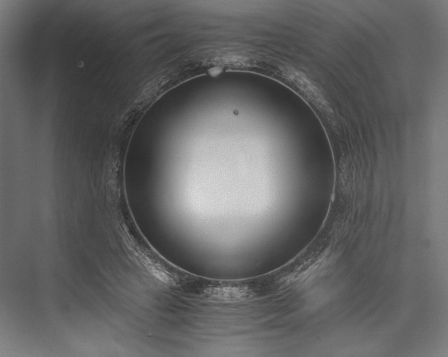 X0000076370449200610061103