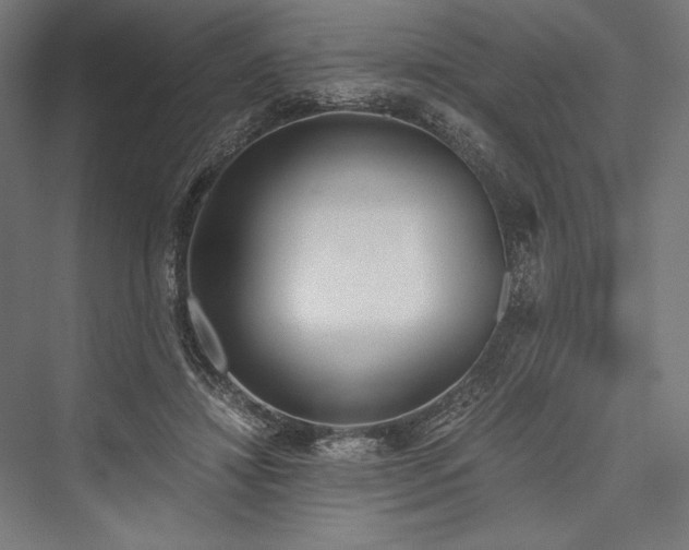 X0000076370452200610061103