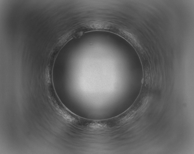 X0000076370453200610061103