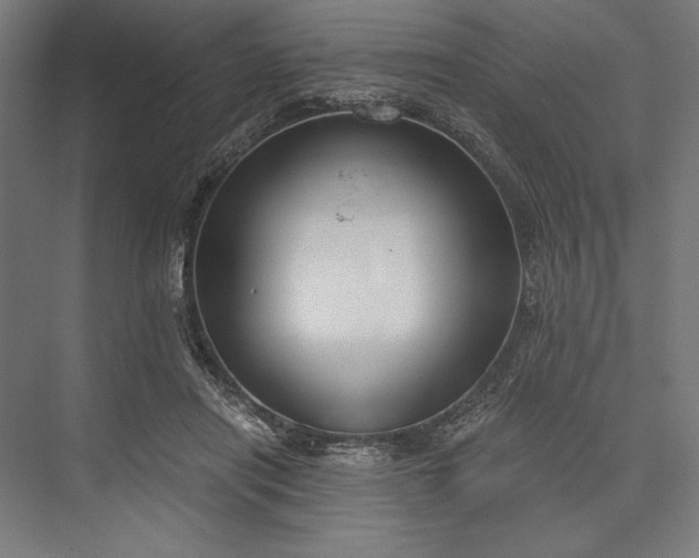 X0000076370454200610061103