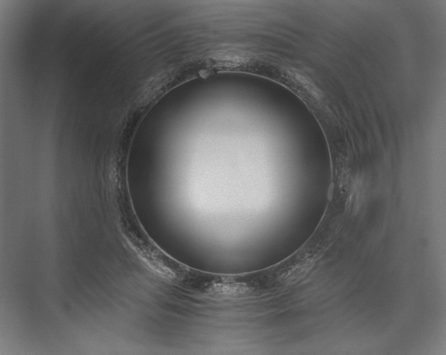 X0000076370455200610061103