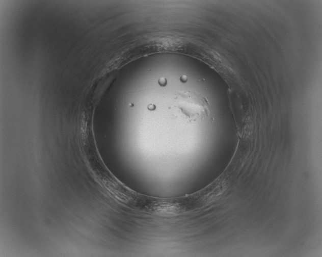X0000076370456200610061103