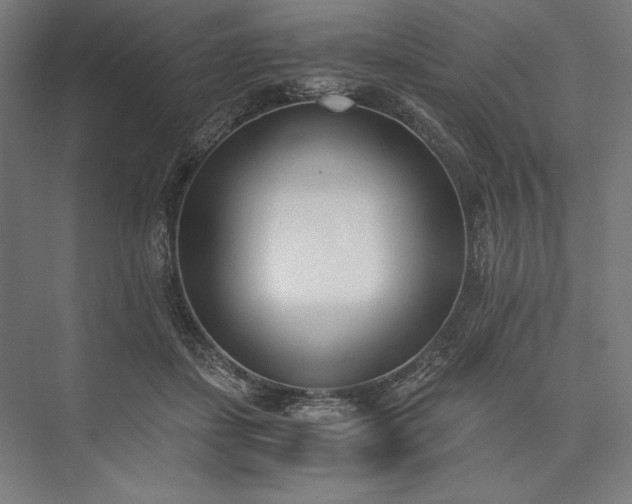 X0000076370459200610061103