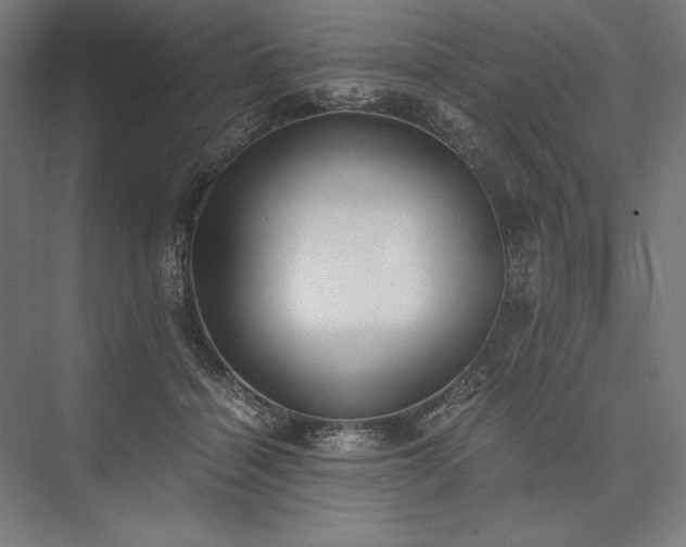 X0000076370460200610061103
