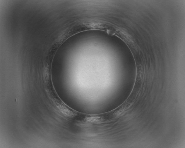 X0000076370461200610061103