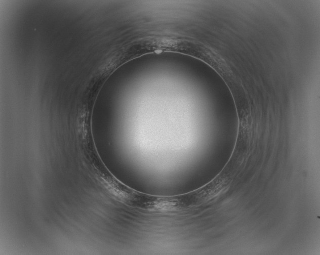 X0000076370462200610061103