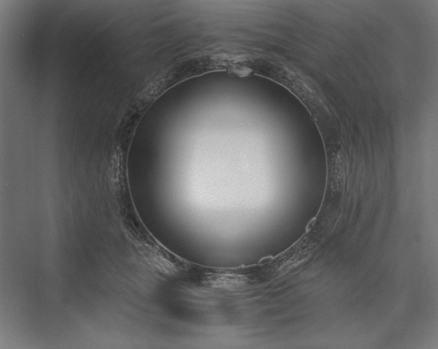 X0000076370463200610061103