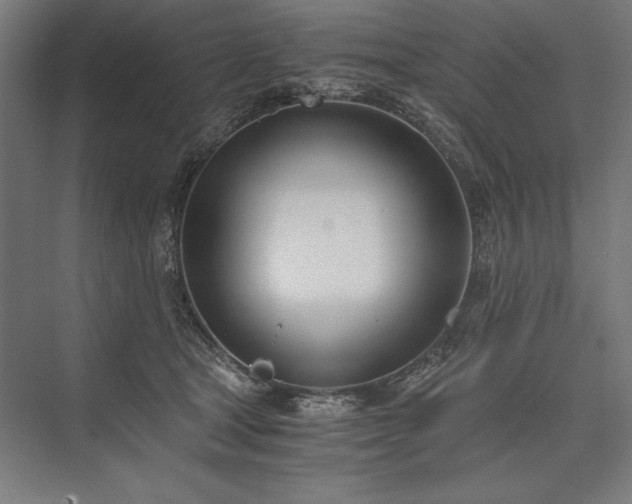 X0000076370465200610061103