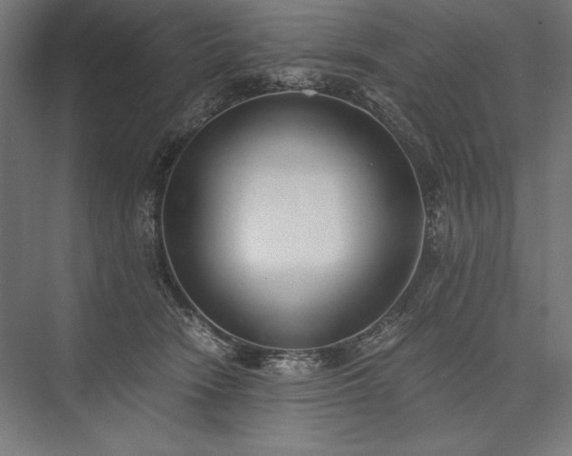 X0000076370466200610061103