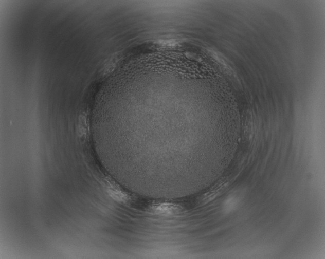 X0000076370467200610061103