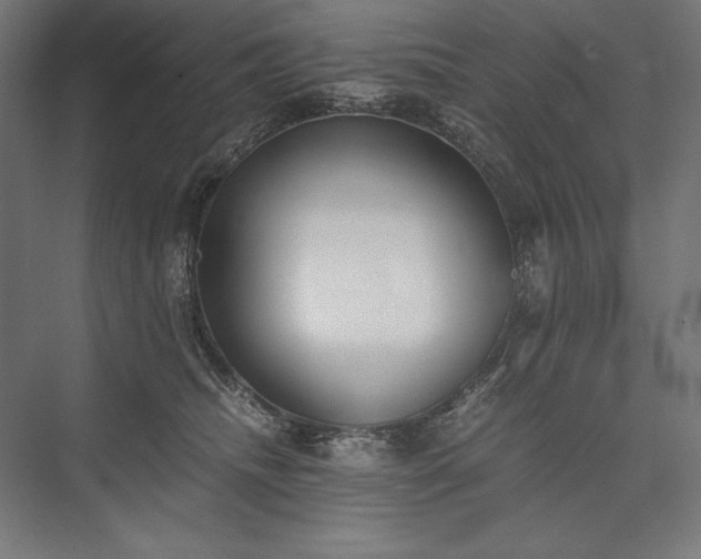 X0000076370468200610061103