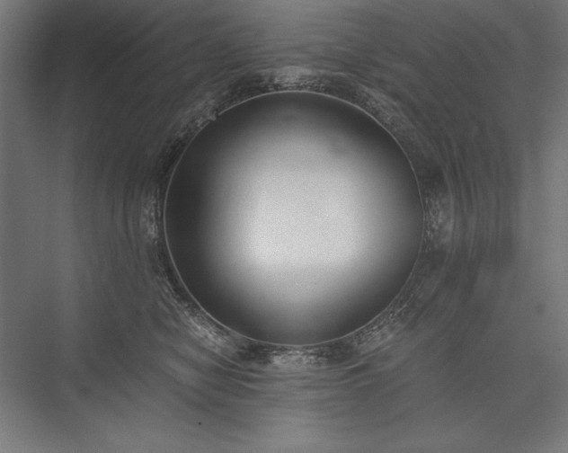 X0000076370470200610061103