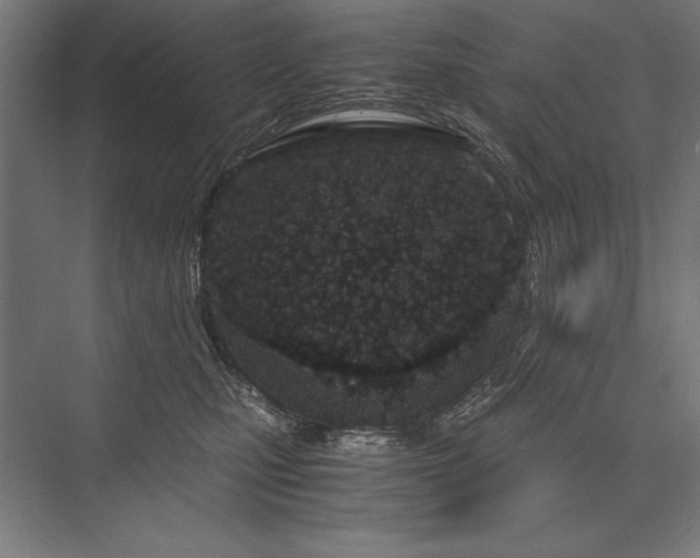 X0000076370471200610061103