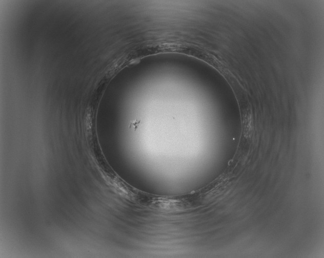 X0000076370472200610061103