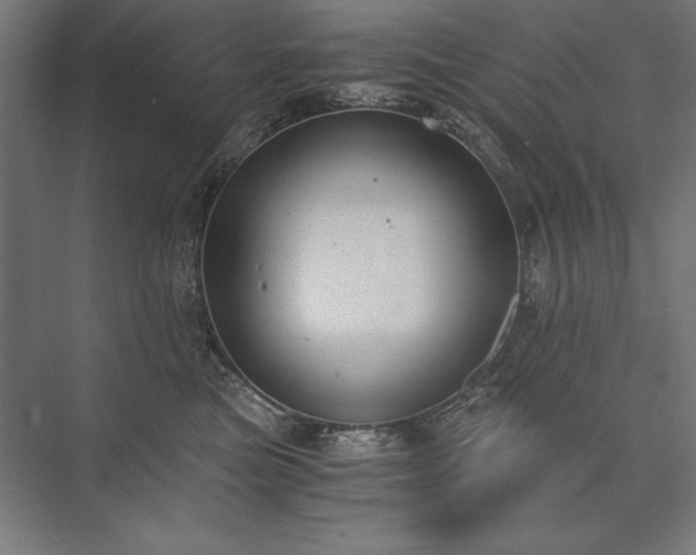 X0000076370473200610061103