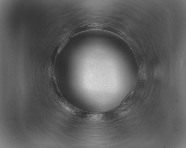 X0000076370474200610061103