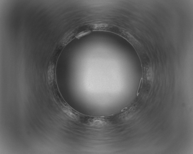 X0000076370475200610061103