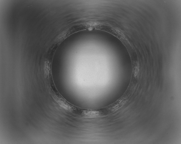 X0000076370476200610061103