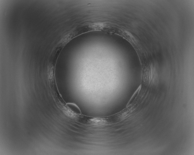 X0000076370477200610061103