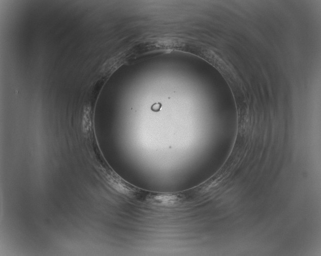 X0000076370478200610061103