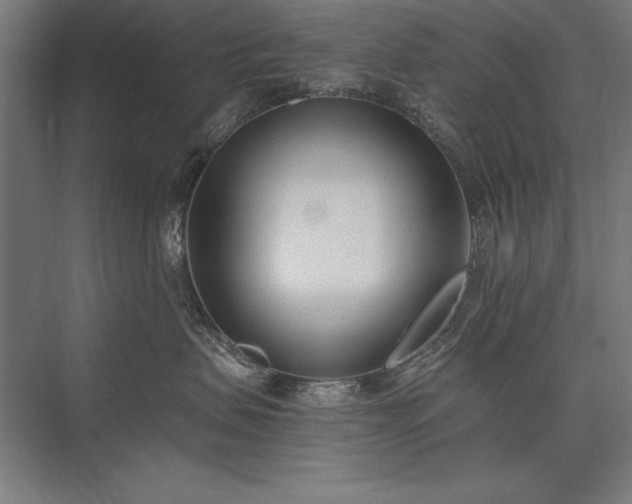 X0000076370479200610061103