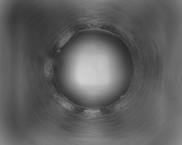 X0000076370480200610061103