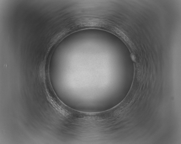 X0000076370482200610061102