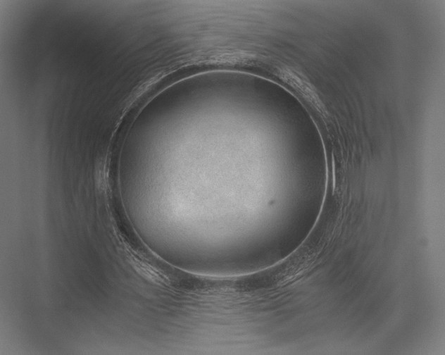 X0000076370483200610061102