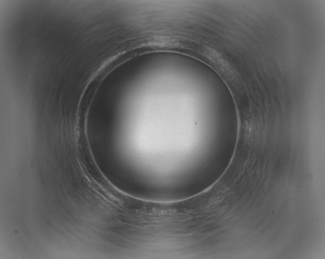 X0000076370484200610061102