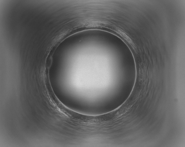 X0000076370485200610061102