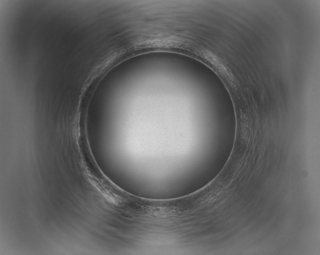 X0000076370486200610061102