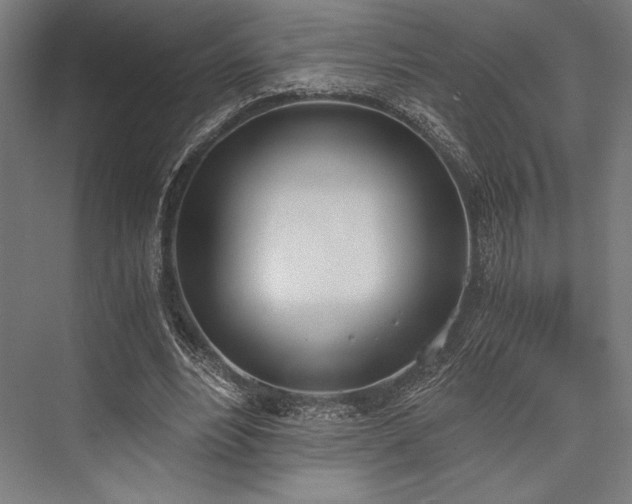 X0000076370488200610061102