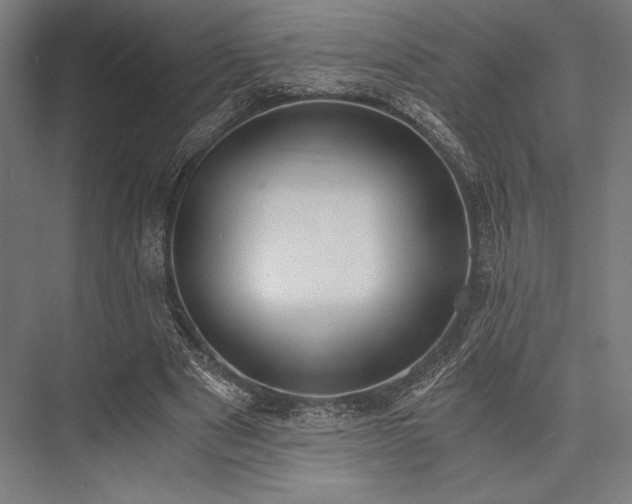 X0000076370489200610061102