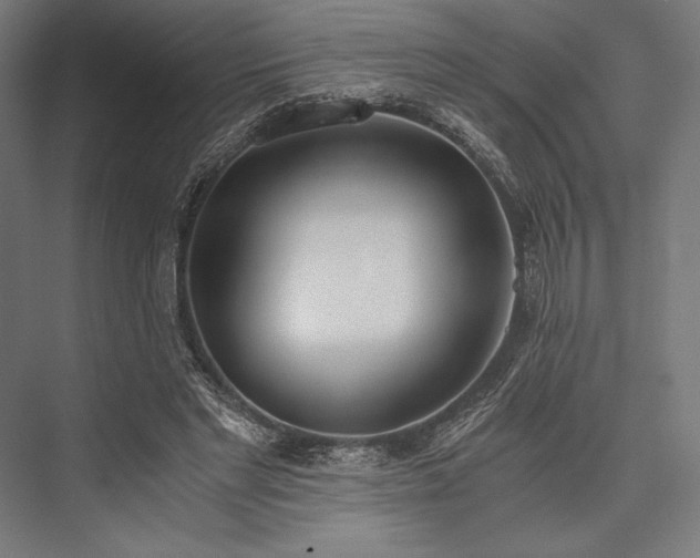 X0000076370493200610061102