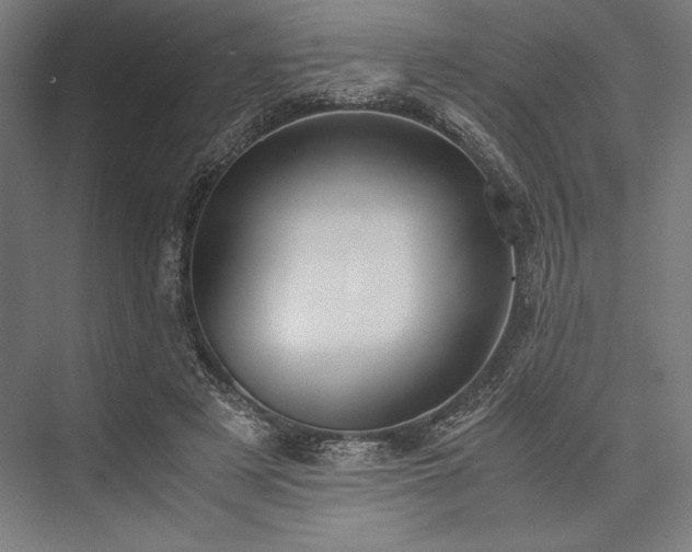 X0000076370497200610061102
