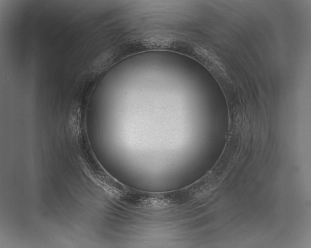 X0000076370498200610061102