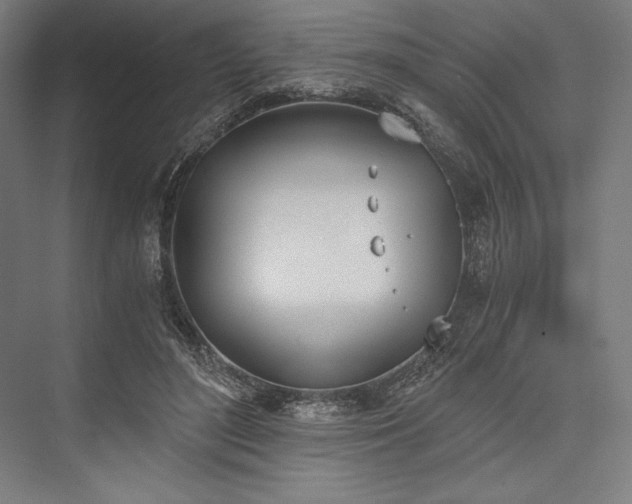 X0000076370500200610061102