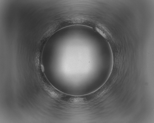 X0000076370501200610061102