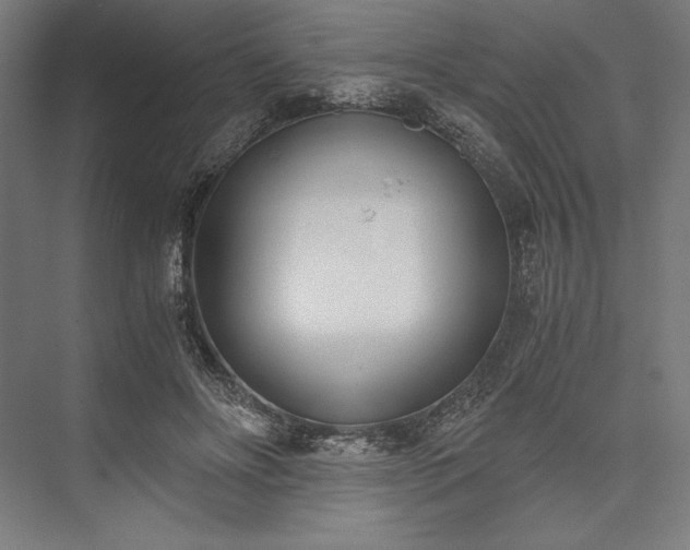 X0000076370502200610061102