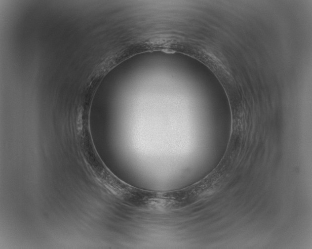 X0000076370504200610061102