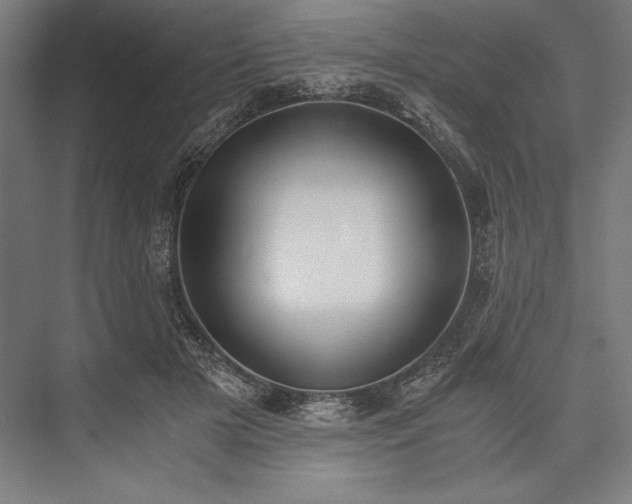 X0000076370505200610061102