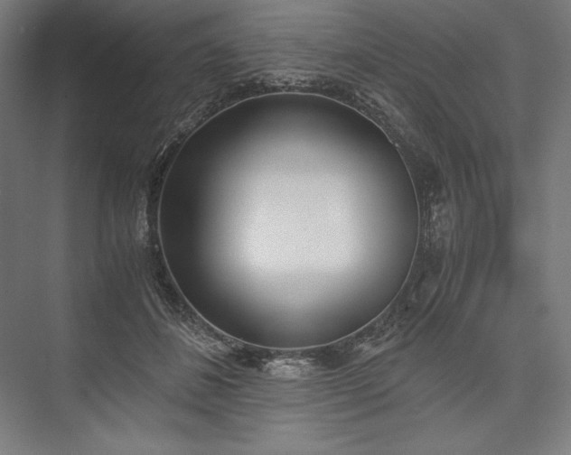 X0000076370508200610061102