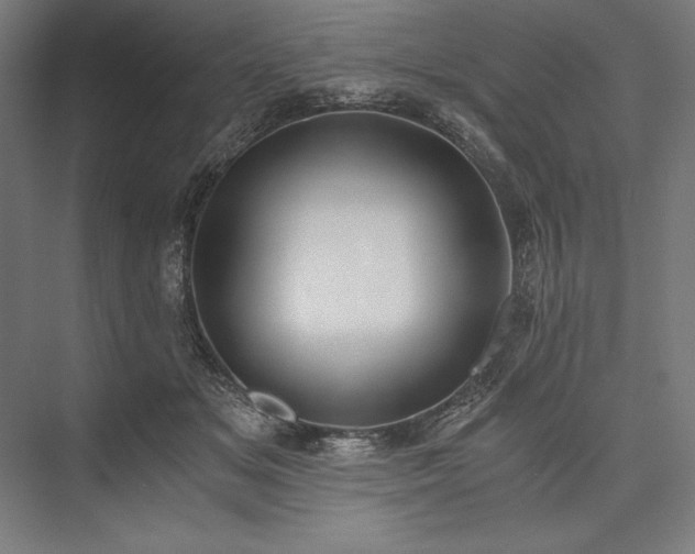 X0000076370509200610061102