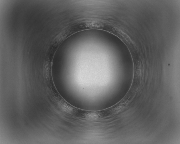 X0000076370513200610061102