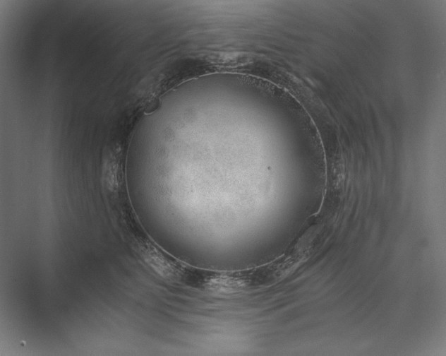 X0000076370515200610061102