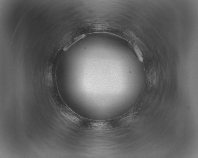 X0000076370516200610061102