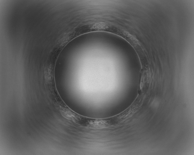 X0000076370517200610061102