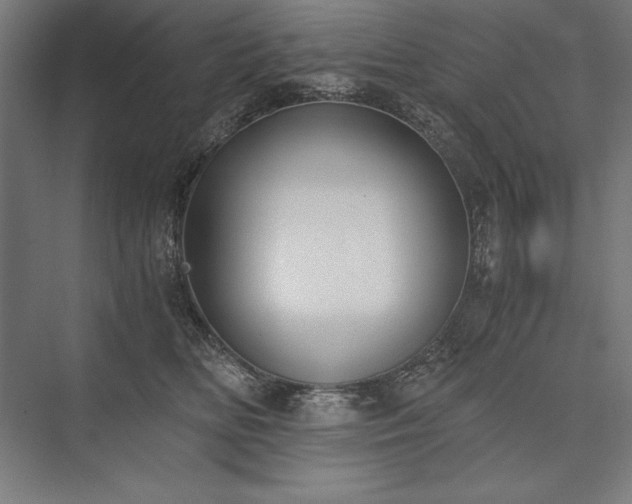 X0000076370518200610061102